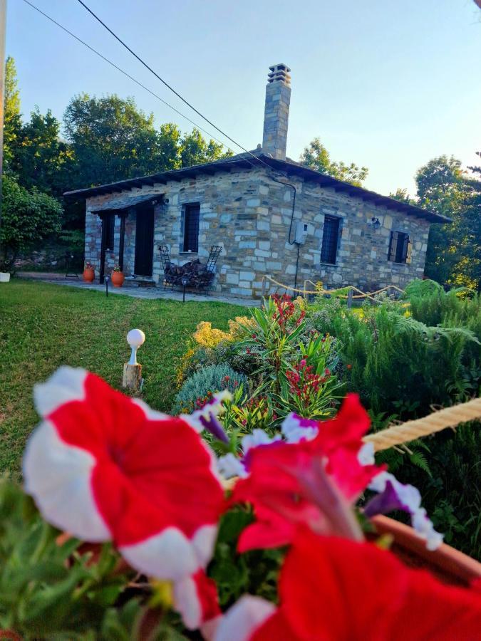 Casa Belvedere بيليون المظهر الخارجي الصورة